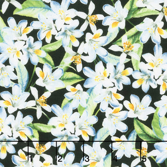 Lemon Fresh - Lemon Blossoms Black Yardage