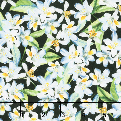 Lemon Fresh - Lemon Blossoms Black Yardage