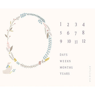 Little Ducklings - Milestones Blanket White Canvas Panel