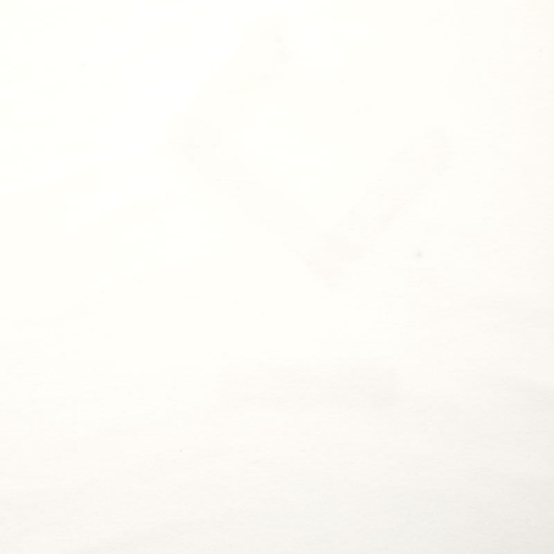 Lush Velveteen Snow Yardage