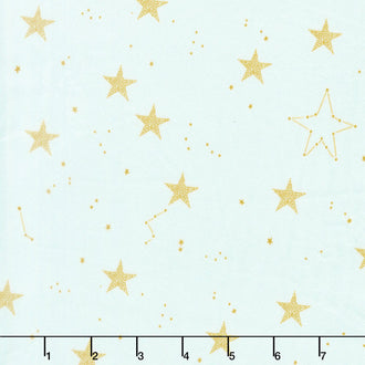Magic - Lucky Stars Mist Minky Yardage