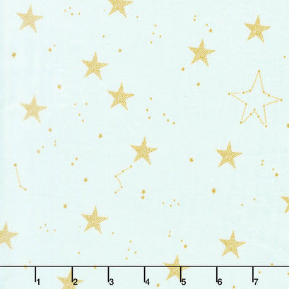 Magic - Lucky Stars Mist Minky Yardage