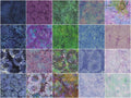 Meadow Batiks Strips
