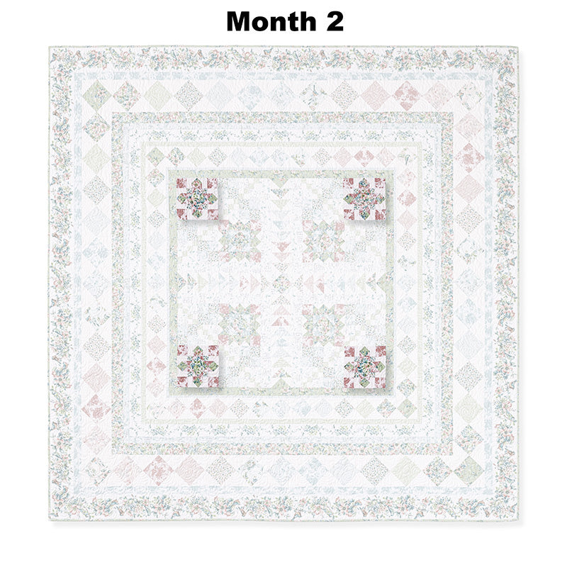 Mint Crush Block of the Month Alternative View #3