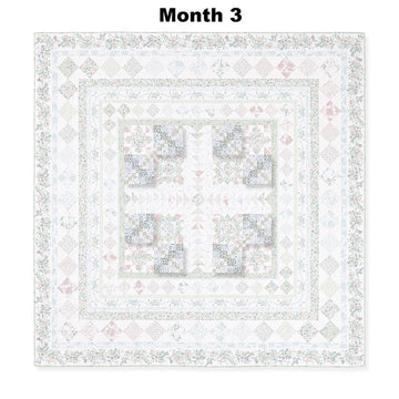 Mint Crush Block of the Month Alternative View #4