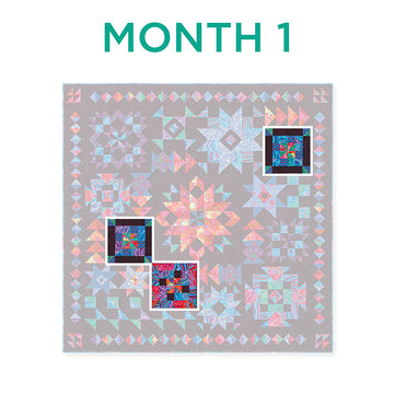 Missouri Star Starlight Block of the Month Alternative View #1