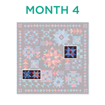 Missouri Star Starlight Block of the Month Alternative View #4