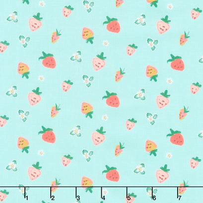 Misty Morning - Strawberries Sky Yardage
