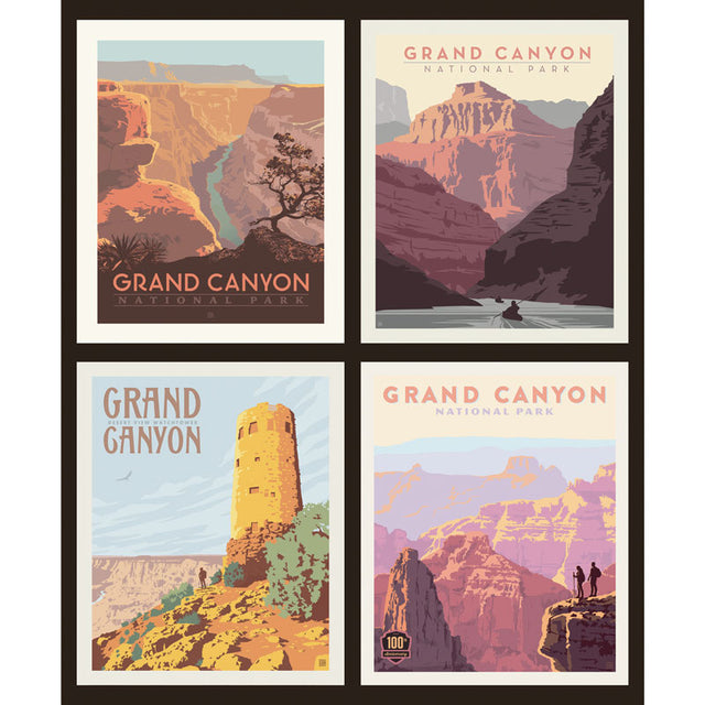 National Parks - Grand Canyon Pillow Panel