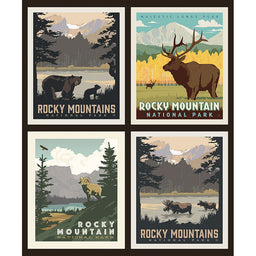 National Parks - Rocky Mountains Pillow Panel