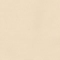 Natural Army Duck Yardage Primary Image