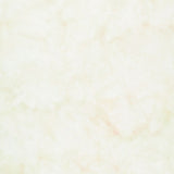 Naturally Neutral Batik Solids - Beige Yardage Primary Image