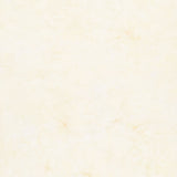 Naturally Neutral Batik Solids - Porcelain Yardage