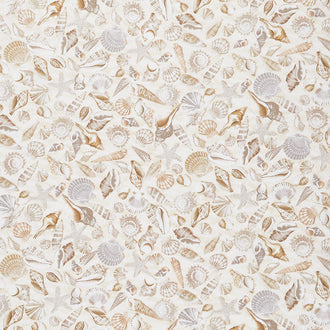 Novelty - Shells Yardage