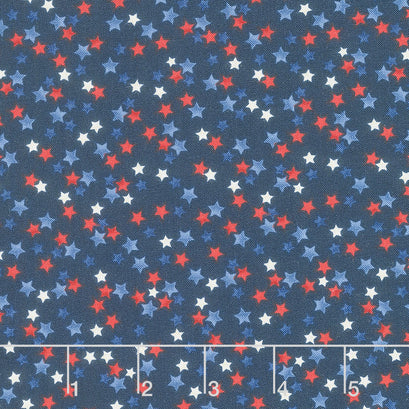Novelty - Stars Navy Yardage