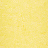 Opulent Orange Batik Solids - Banana Yardage Primary Image