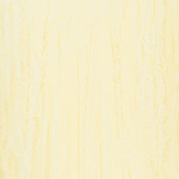 Opulent Orange Batik Solids - Butter Yardage Primary Image