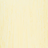 Opulent Orange Batik Solids - Butter Yardage Primary Image