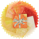 Opulent Orange Batik Solids Stamps Primary Image