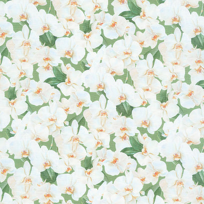 Orchids in Bloom - Packed White Orchids Green and White Digitally Printed Yardage