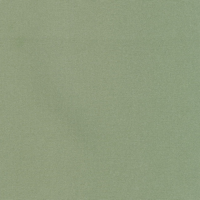 Outback Canvas - Solid Olive Yardage