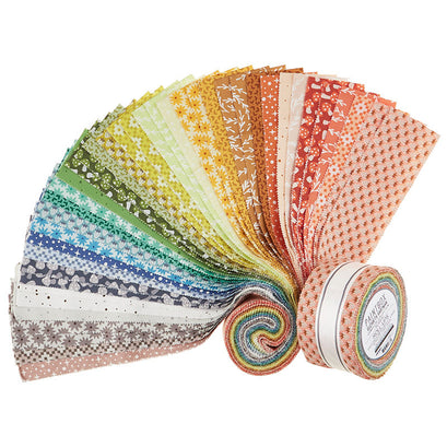 Paintbox Roll Up