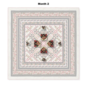 Pathways Block of the Month Alternative View #3