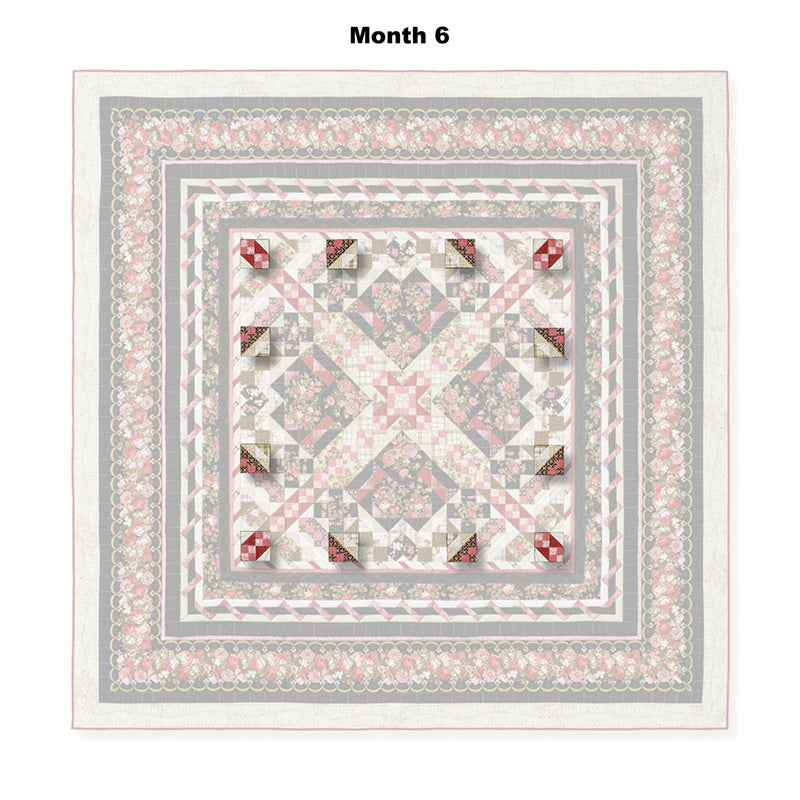 Pathways Block of the Month Alternative View #7