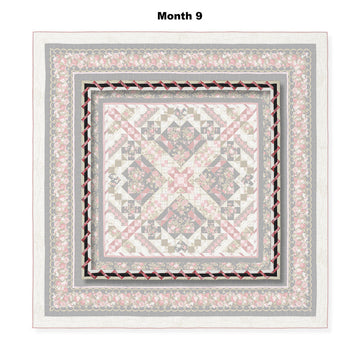 Pathways Block of the Month Alternative View #10