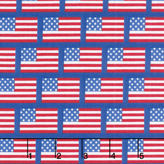 Patriotic Picnic - Flags Blue Yardage