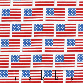 Patriotic Picnic - Flags White Yardage