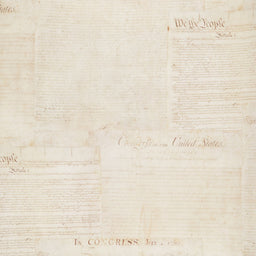 Patriots - Constitution Antique Digitally Printed 108" Wide Backing