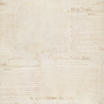 Patriots - Constitution Antique Digitally Printed 108" Wide Backing