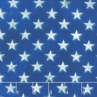 Patriots - Stars Americana Digitally Printed Yardage