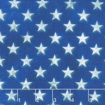 Patriots - Stars Americana Digitally Printed Yardage