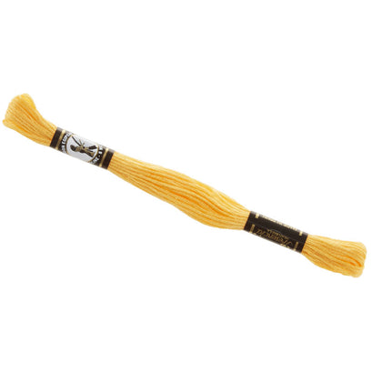 Presencia 6 Ply Cotton Embroidery Floss Light Tangerine