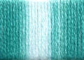 Presencia 6 Ply Cotton Embroidery Floss Nile Green