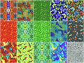 Rainforest Favorites 10" Squares