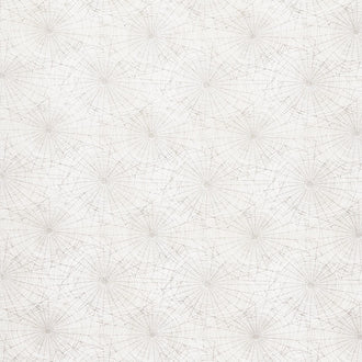 Regions Beyond - Cobwebs Neutral Yardage