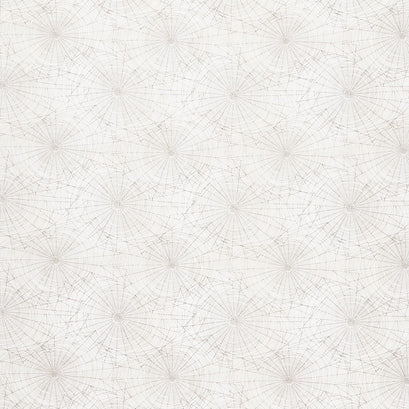 Regions Beyond - Cobwebs Neutral Yardage
