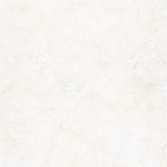 Sail Away - Contour Map Beige Digitally Printed Yardage