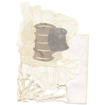 Sand Dollar Sewquatic Laser Cut Kit Alternative View #1