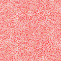 Scandi 2021 - Scroll Red Metallic Yardage