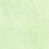 Shadow Play - Butterfly Green Yardage