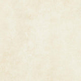 Shadow Play - Ecru Yardage