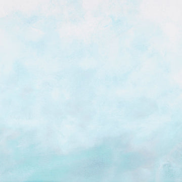 Sky - Ombre Fog Digitally Printed Yardage