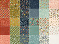 Songbook Jelly Roll Alternative View #2