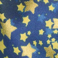 Stargazers - Stars Stratosphere Metallic Yardage