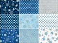 Stars of Light Metallic Fat Quarter Bundle