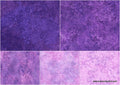 Stonehenge Gradations Brights - Amethyst Chips